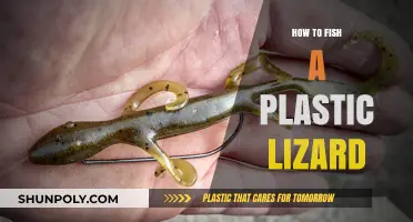 Fishing Plastic Lizards: The Ultimate Guide