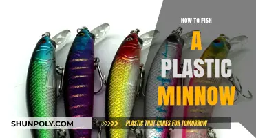 Plastic Minnow Fishing: The Ultimate Guide