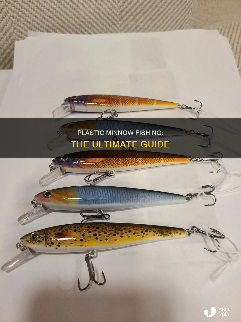 how to fish a plastic minnow