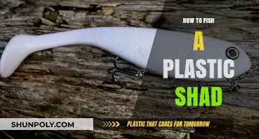 Plastic Shad Fishing: Techniques for Success