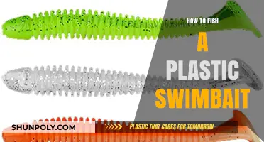 Plastic Swimbait Fishing: Techniques and Tips for Success