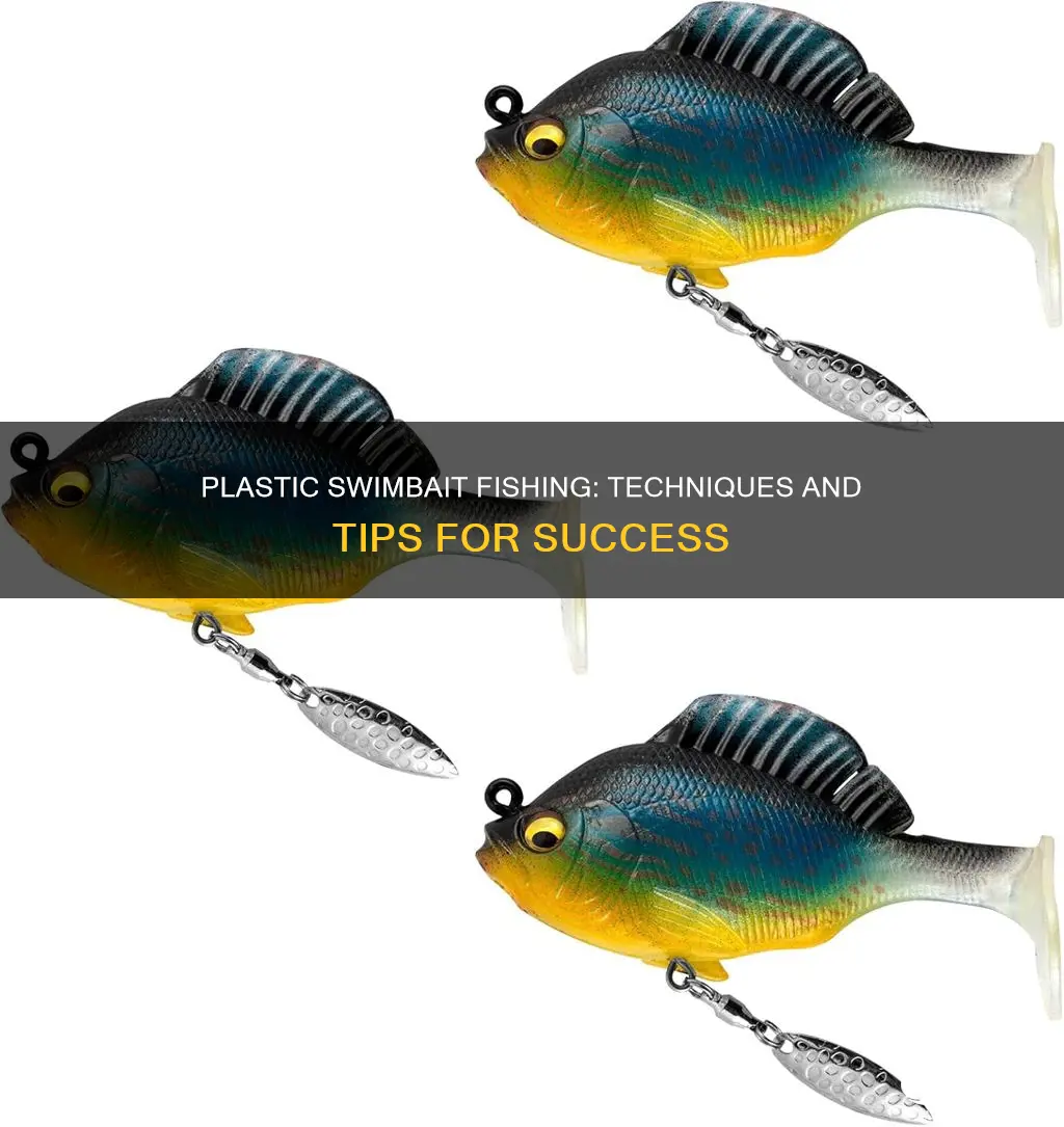 how to fish a plastic swimbait