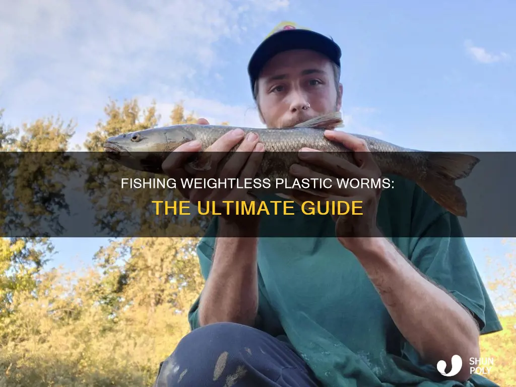 how to fish a plastic worm weightless