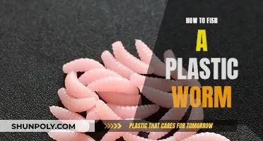 Fishing Plastic Worms: Techniques for Beginners