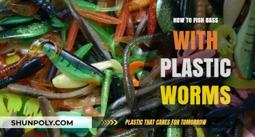 Bass Fishing with Plastic Worms: Techniques and Tips