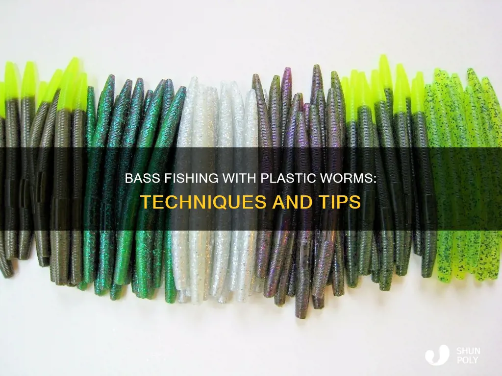 how to fish bass with plastic worms