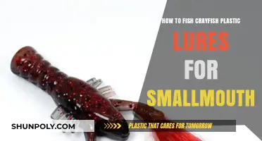 Mastering the Art of Fishing Crayfish Plastic Lures for Smallmouth Bass