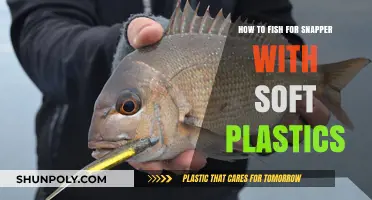 Mastering Snapper Fishing with Soft Plastics: A Comprehensive Guide