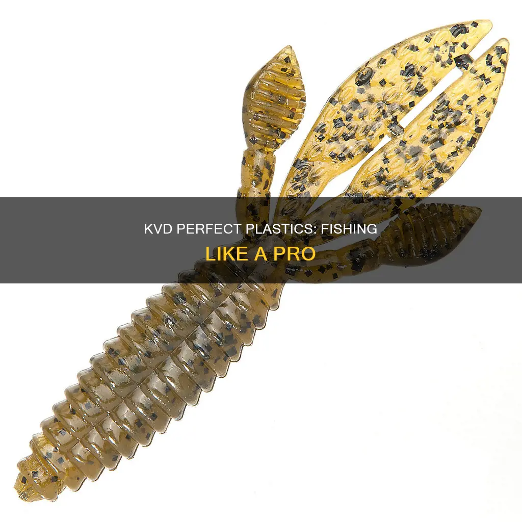 how to fish kvd perfect plastics
