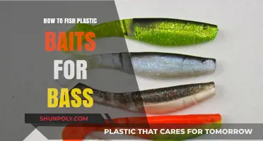 Plastic Baits for Bass: The Ultimate Guide