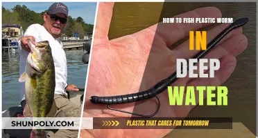 Mastering Deep Water Fishing with Plastic Worms: A Comprehensive Guide