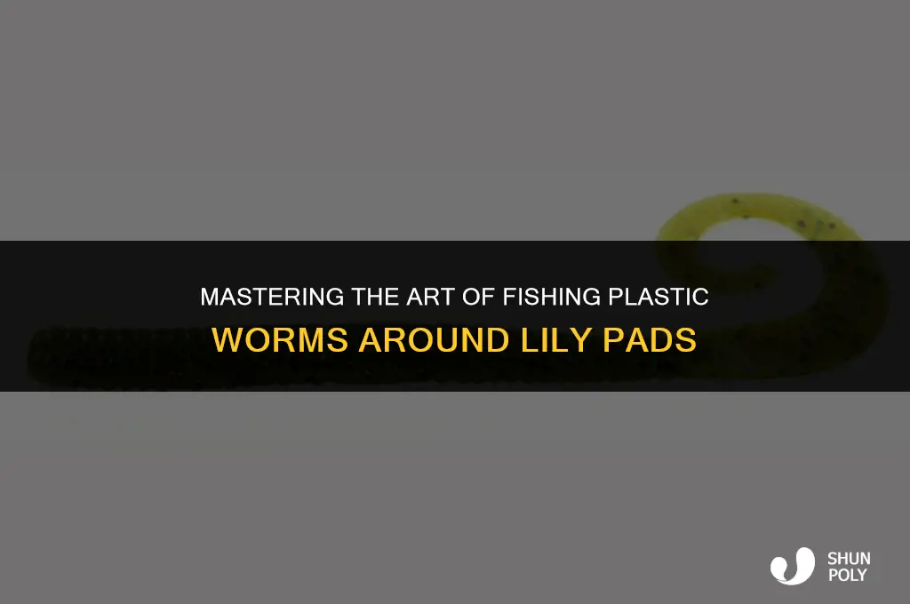 how to fish plastic worms around lily pads