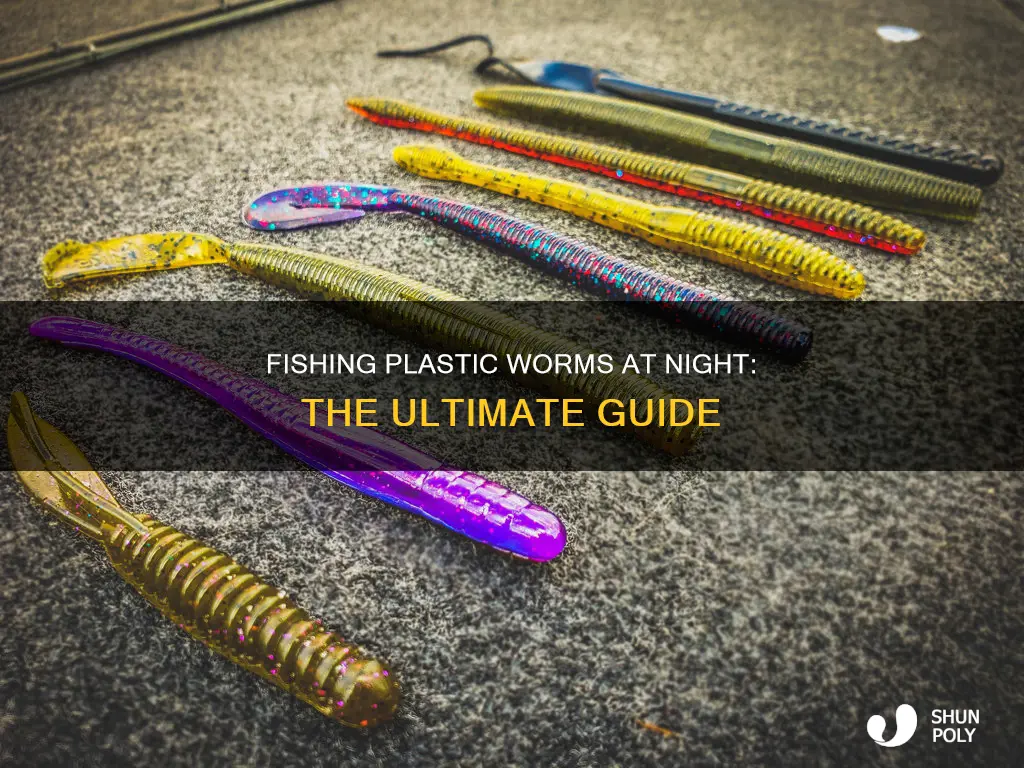 how to fish plastic worms at night