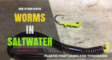 Fishing Plastic Worms in Saltwater: The Ultimate Guide