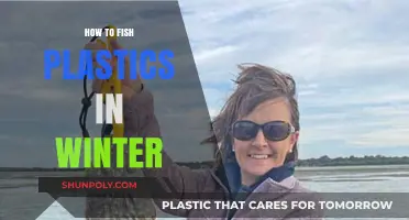 Winter Plastics Fishing: Expert Tips and Tricks