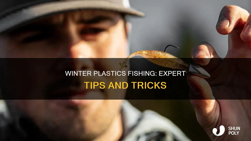 how to fish plastics in winter