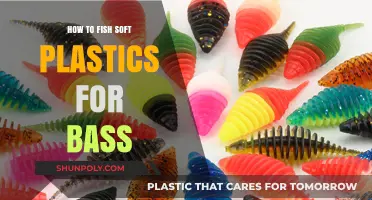 Soft Plastics for Bass: The Ultimate Guide to Lure Techniques
