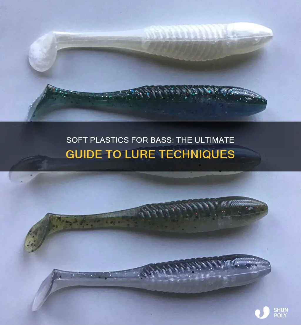 how to fish soft plastics for bass