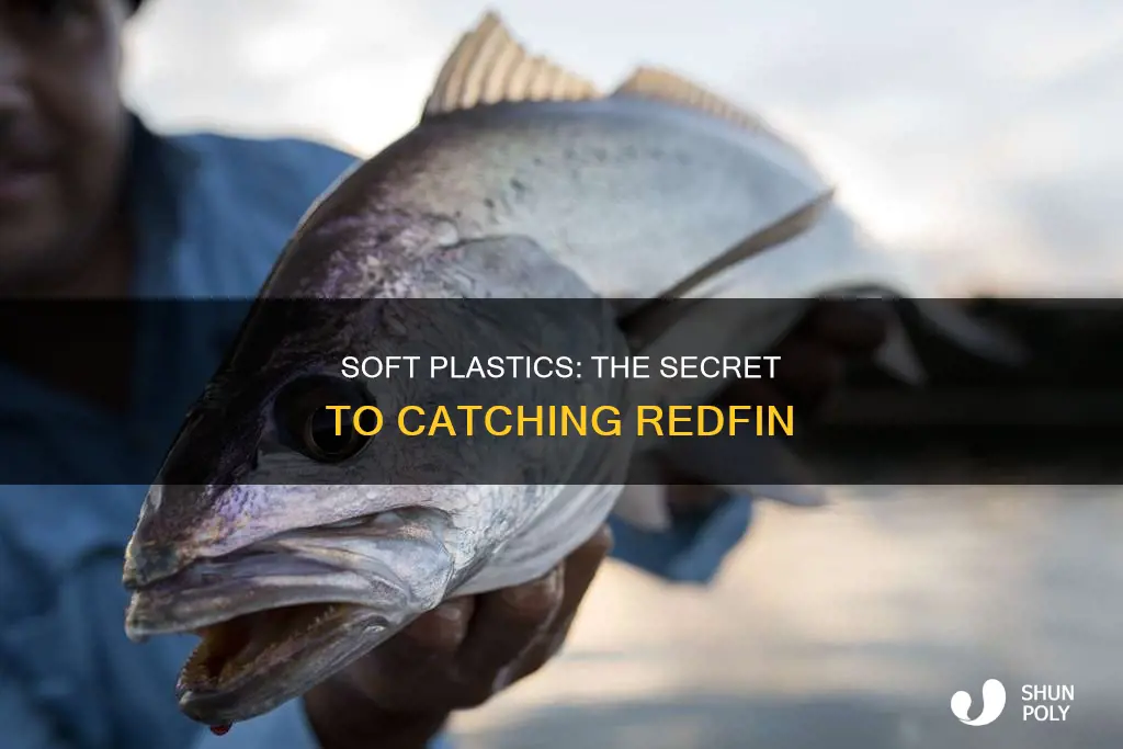 how to fish soft plastics for redfin