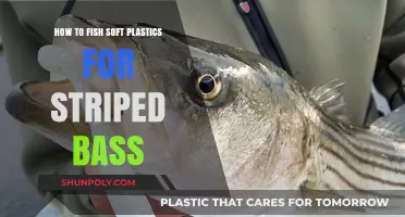Mastering Soft Plastics: A Striped Bass Angler's Guide