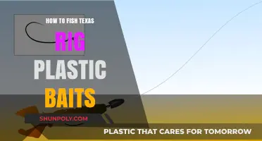 Texas Rigging Plastic Baits: Techniques to Master