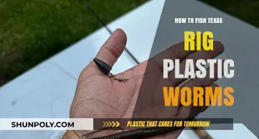 Texas Rigging Plastic Worms: The Ultimate Guide