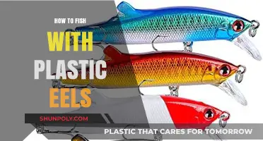 Plastic Eels: The Ultimate Guide to Fishing Success