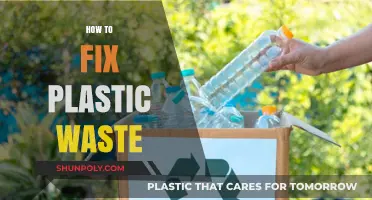 Innovative Solutions to Tackle the Plastic Waste Crisis