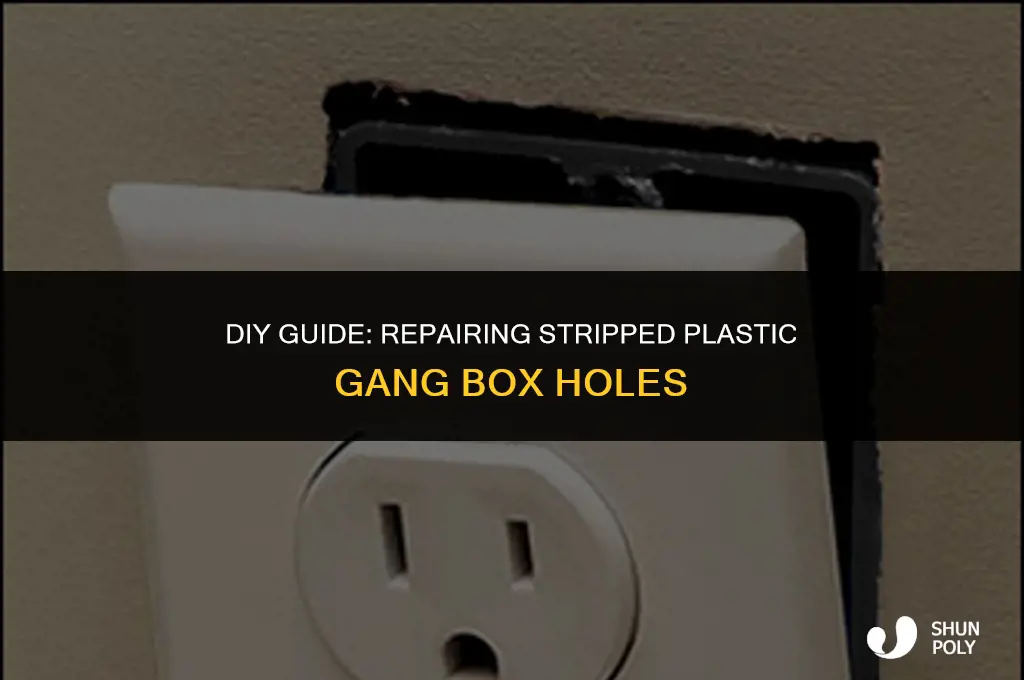 how to fix stripped plastic gang box holes