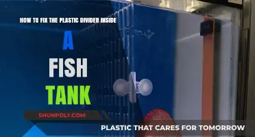 DIY Guide: Repairing Plastic Dividers in Your Fish Tank
