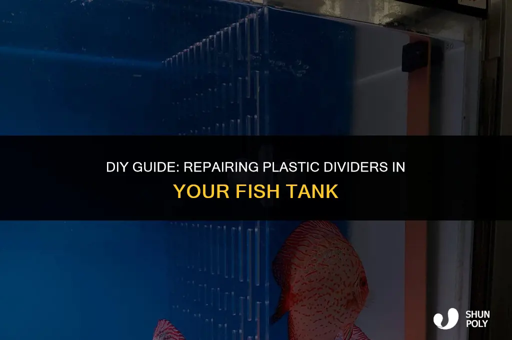 how to fix the plastic divider inside a fish tank