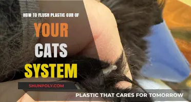 Safely Eliminating Plastic from Your Cat's Digestive System