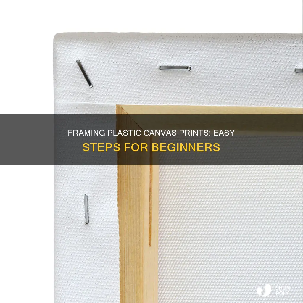how to frame a plastic canvas print