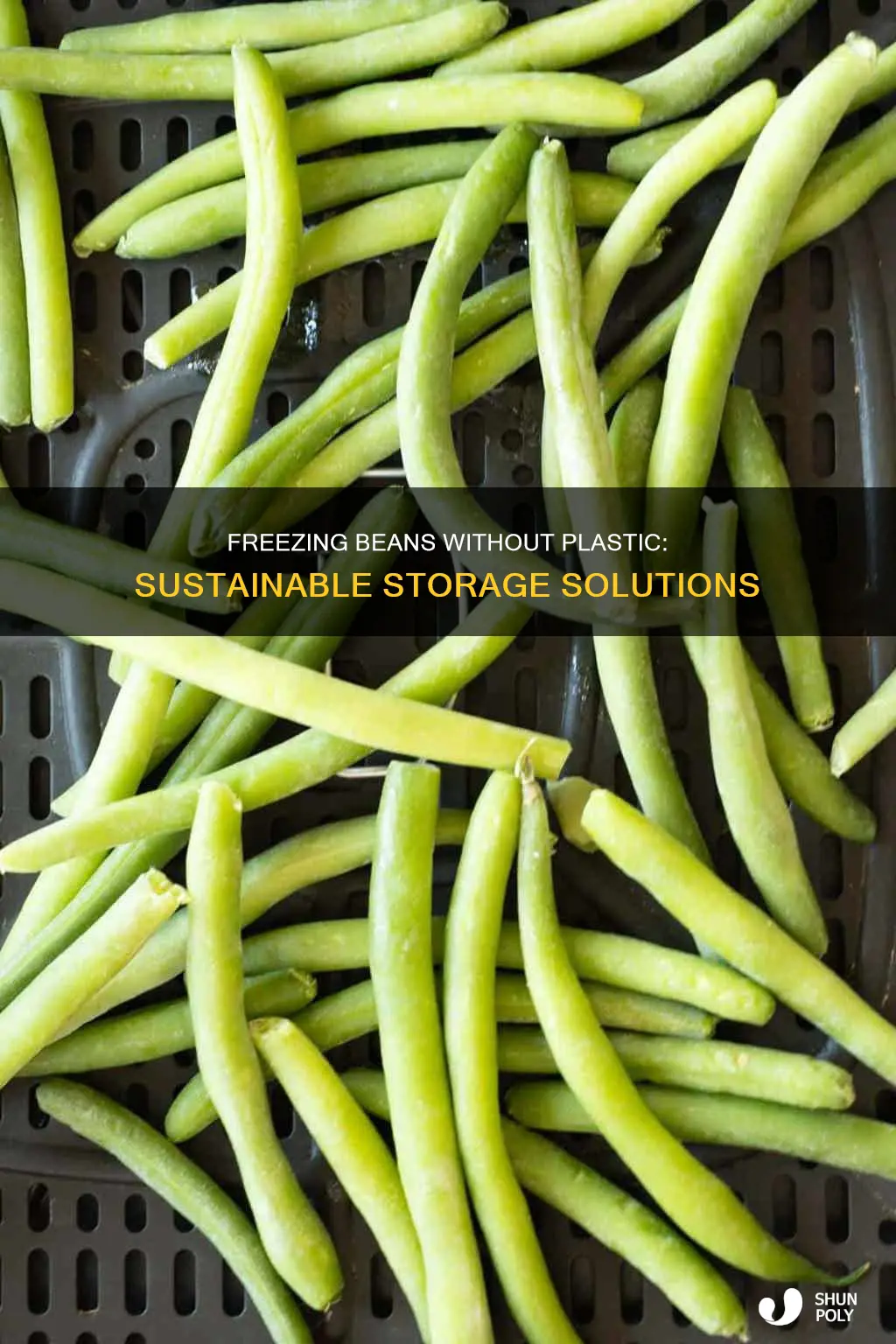 how to freeze beans without plastic