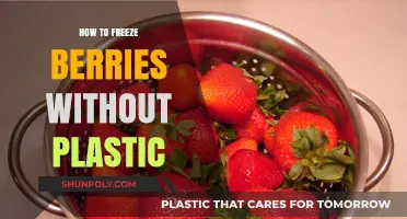 Freeze Berries Without Plastic: Quick, Eco-Friendly Tips