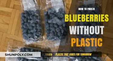 Freezing Blueberries: Plastic-Free Storage and Preservation Techniques