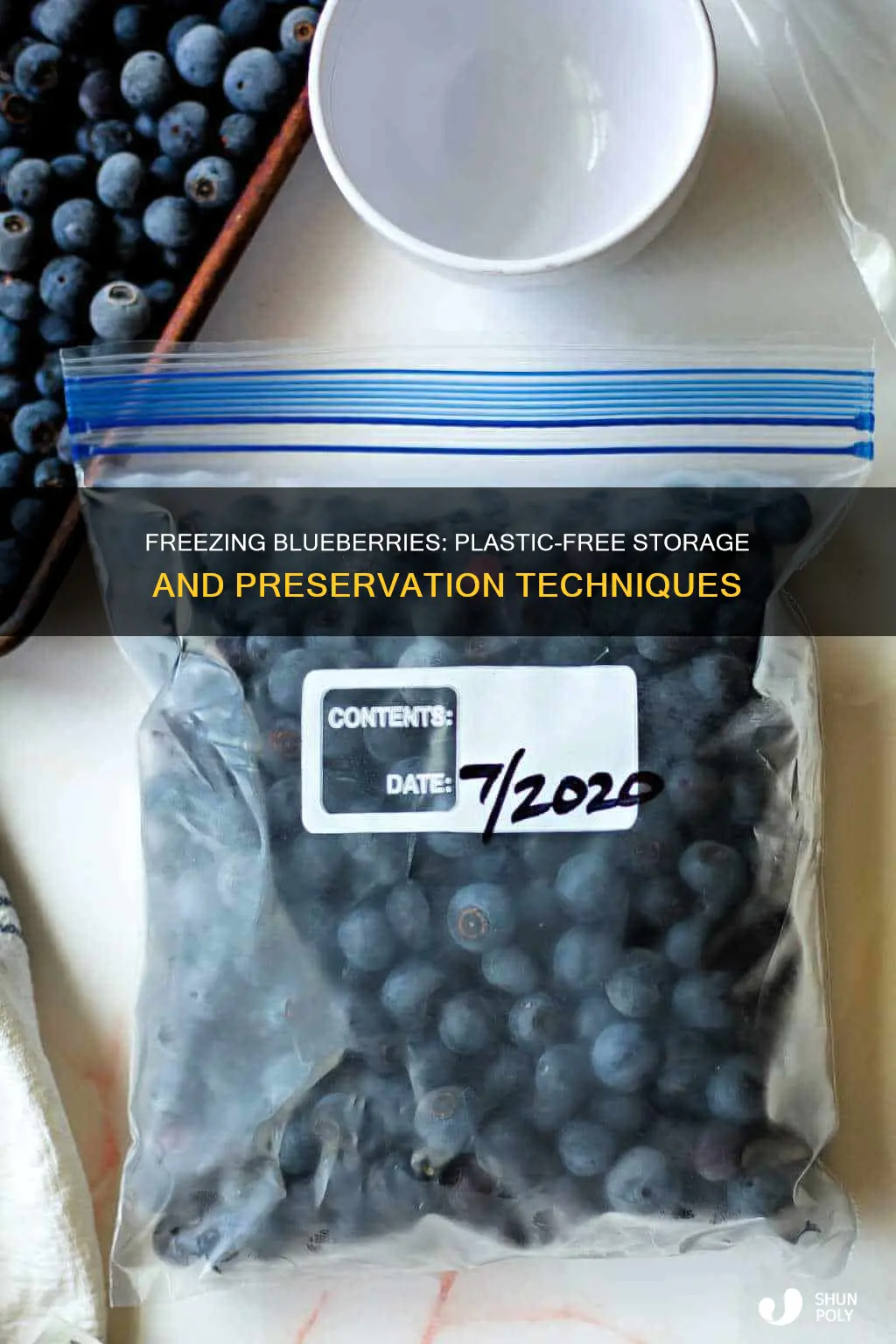 how to freeze blueberries without plastic