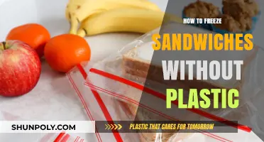 Freeze Sandwiches Without Plastic: Best Storage Tips