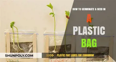 Simple Seed Germination: A Plastic Bag Method for Beginners