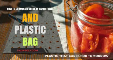 Easy Seed Germination: Paper Towel and Plastic Bag Method Guide