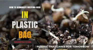 Easy Wisteria Seed Germination: Plastic Bag Method Guide