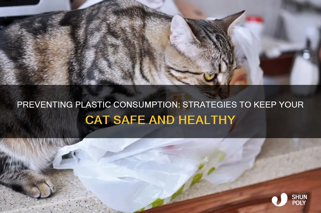 how to get a cat to stop eating plastic