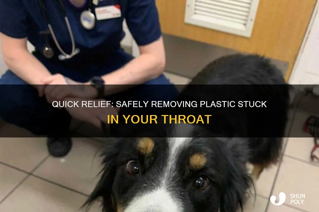 how to get a piece of plastic out of throat