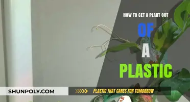 Safely Removing Plants from Plastic Pots: A Step-by-Step Guide