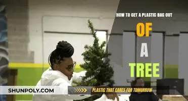 Effective Techniques to Safely Remove Plastic Bags from Trees