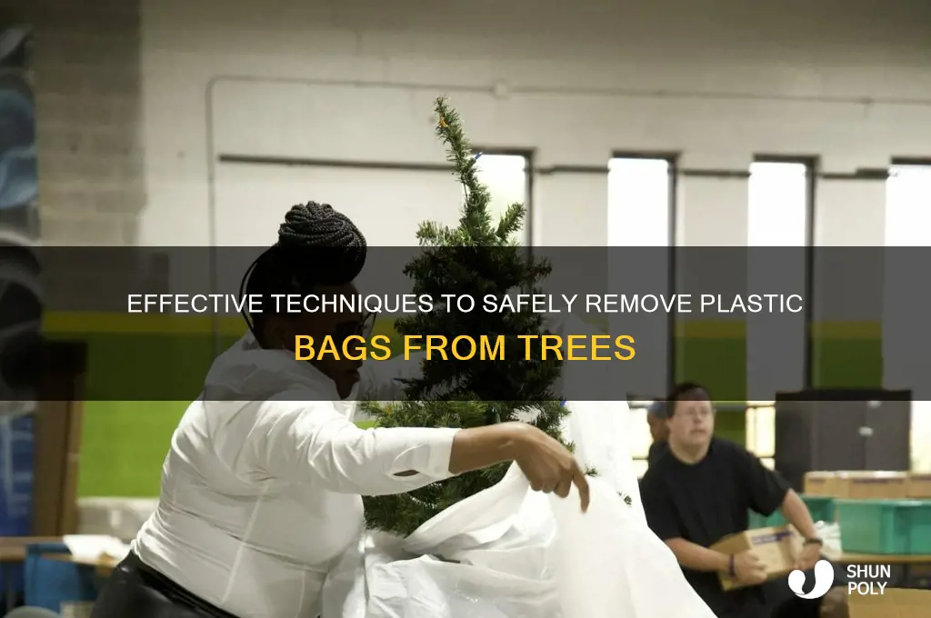 how to get a plastic bag out of a tree