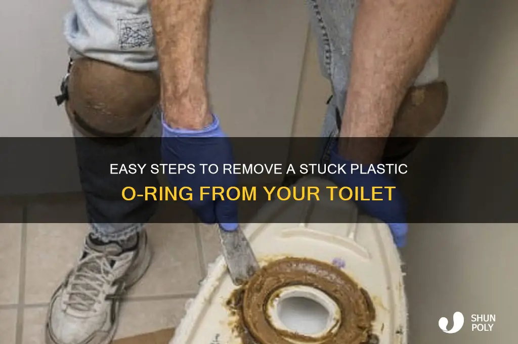 how to get a plastic o-ring out of the toilet