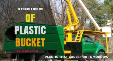 Removing a Tree from a Plastic Bucket: A Step-by-Step Guide