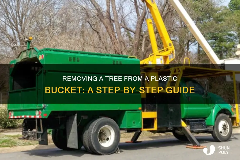 how to get a tree out of plastic bucket