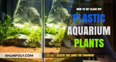 Effective Methods to Remove Algae from Plastic Aquarium Plants Easily